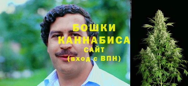2c-b Козловка
